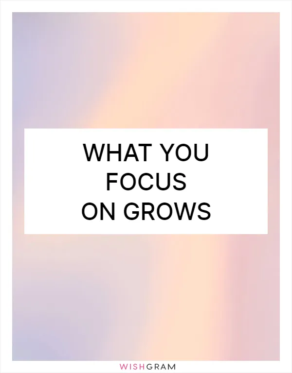 What you focus on grows