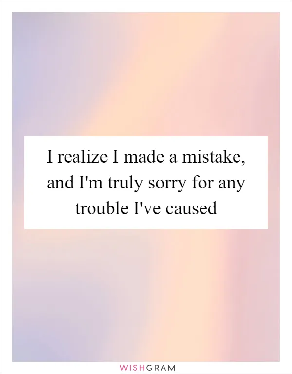 I realize I made a mistake, and I'm truly sorry for any trouble I've caused