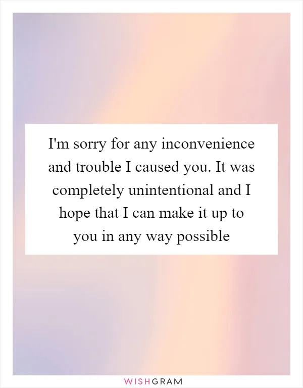 I'm sorry for any inconvenience and trouble I caused you. It was completely unintentional and I hope that I can make it up to you in any way possible