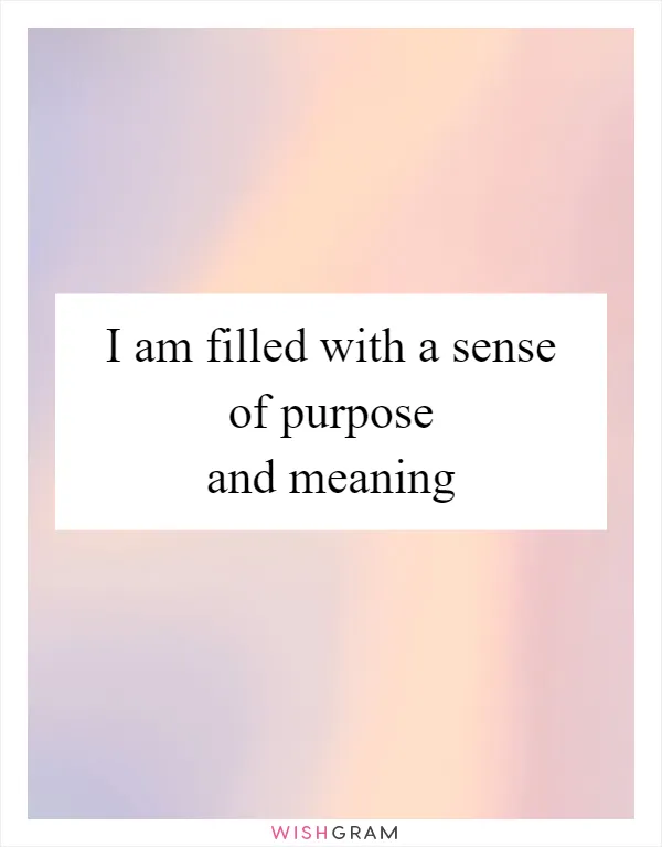 I am filled with a sense of purpose and meaning