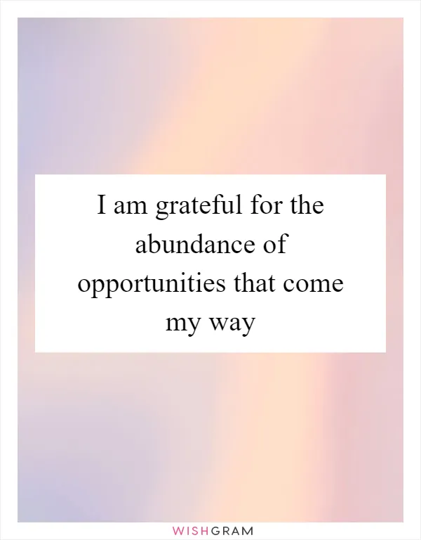 I am grateful for the abundance of opportunities that come my way