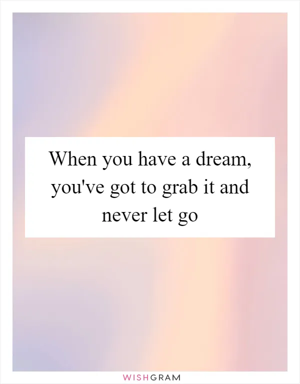 When you have a dream, you've got to grab it and never let go