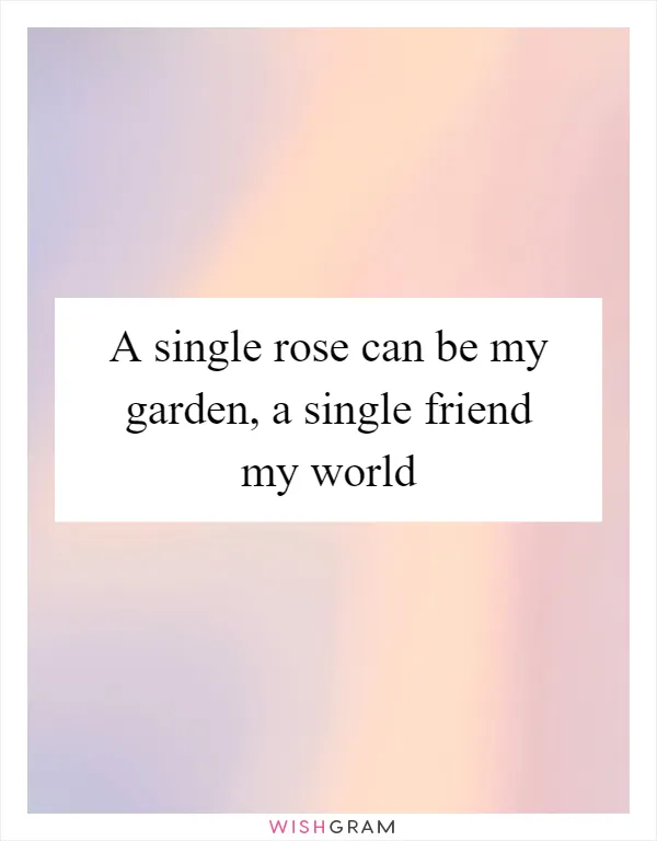 A single rose can be my garden, a single friend my world
