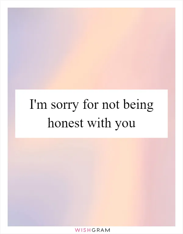 I'm sorry for not being honest with you