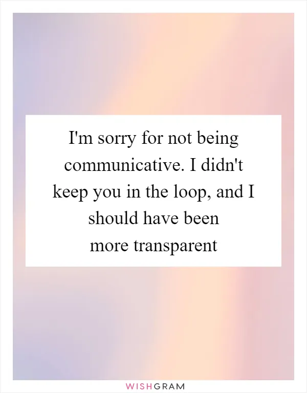 I'm sorry for not being communicative. I didn't keep you in the loop, and I should have been more transparent