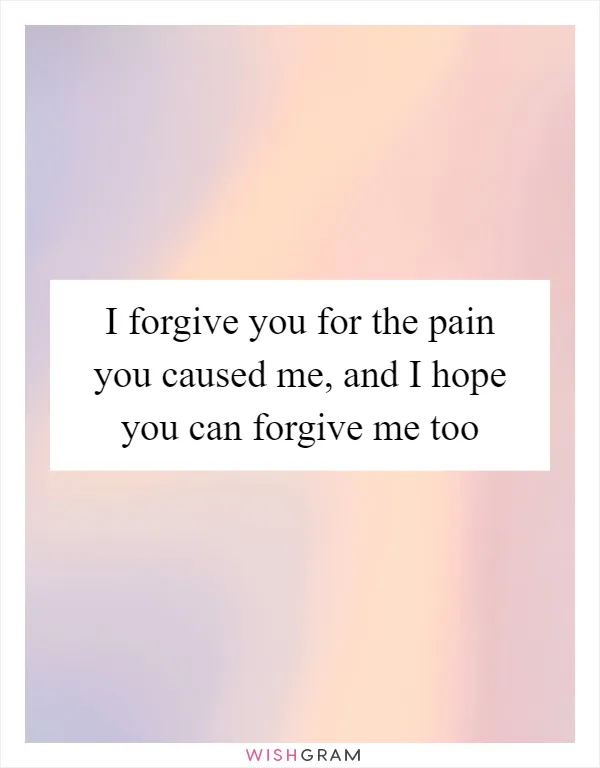 I forgive you for the pain you caused me, and I hope you can forgive me too