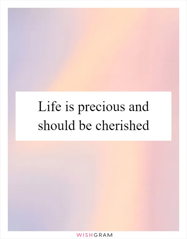 Life is precious and should be cherished