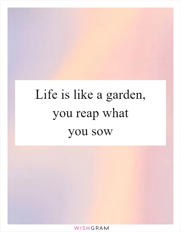 Life is like a garden, you reap what you sow