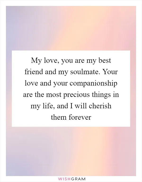 My love, you are my best friend and my soulmate. Your love and your companionship are the most precious things in my life, and I will cherish them forever
