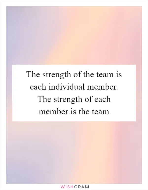 The strength of the team is each individual member. The strength of each member is the team