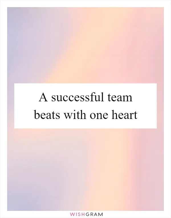 A successful team beats with one heart
