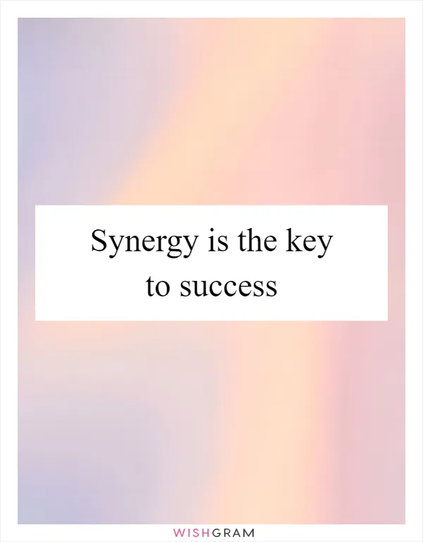 Synergy is the key to success