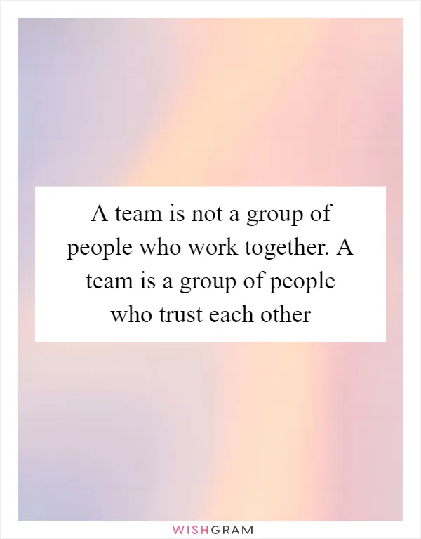 A team is not a group of people who work together. A team is a group of people who trust each other