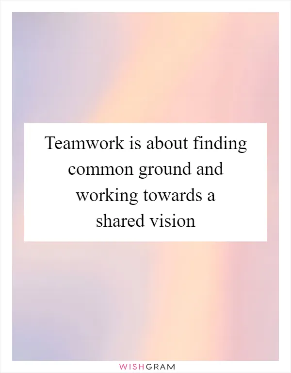 Teamwork is about finding common ground and working towards a shared vision
