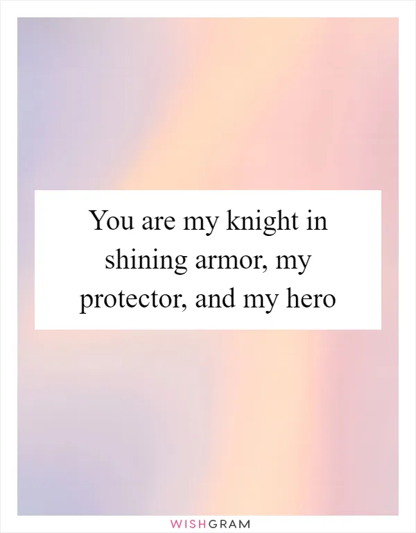 You are my knight in shining armor, my protector, and my hero