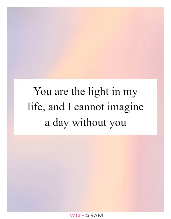 You are the light in my life, and I cannot imagine a day without you