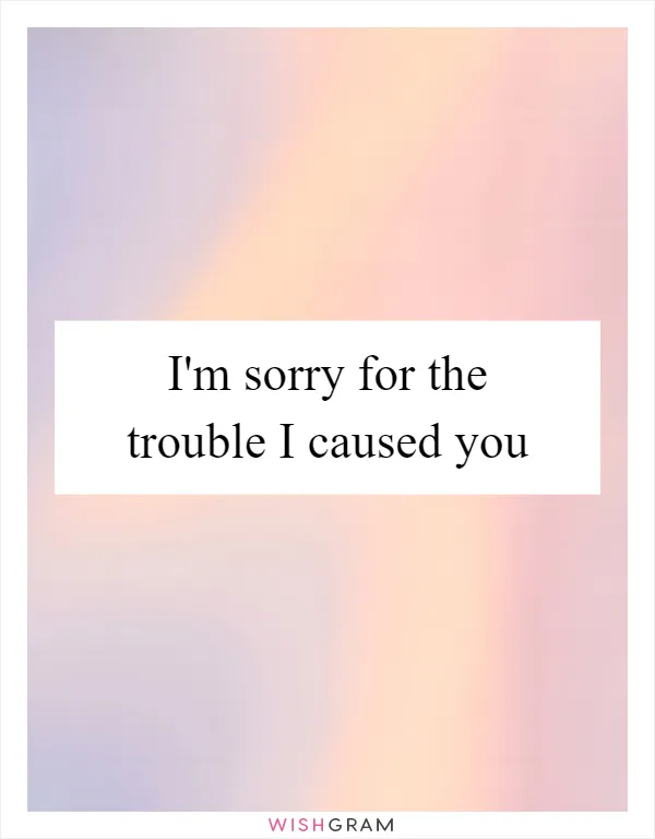 I'm sorry for the trouble I caused you