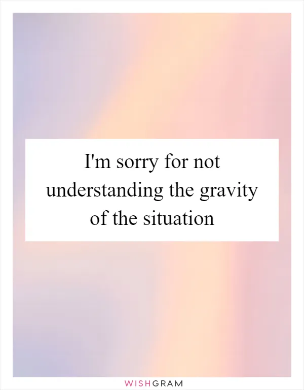 I'm sorry for not understanding the gravity of the situation