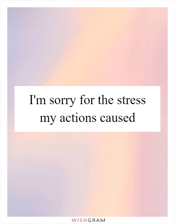 I'm sorry for the stress my actions caused