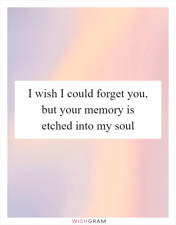 I wish I could forget you, but your memory is etched into my soul