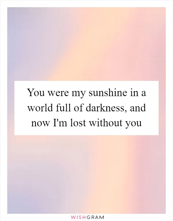 You were my sunshine in a world full of darkness, and now I'm lost without you
