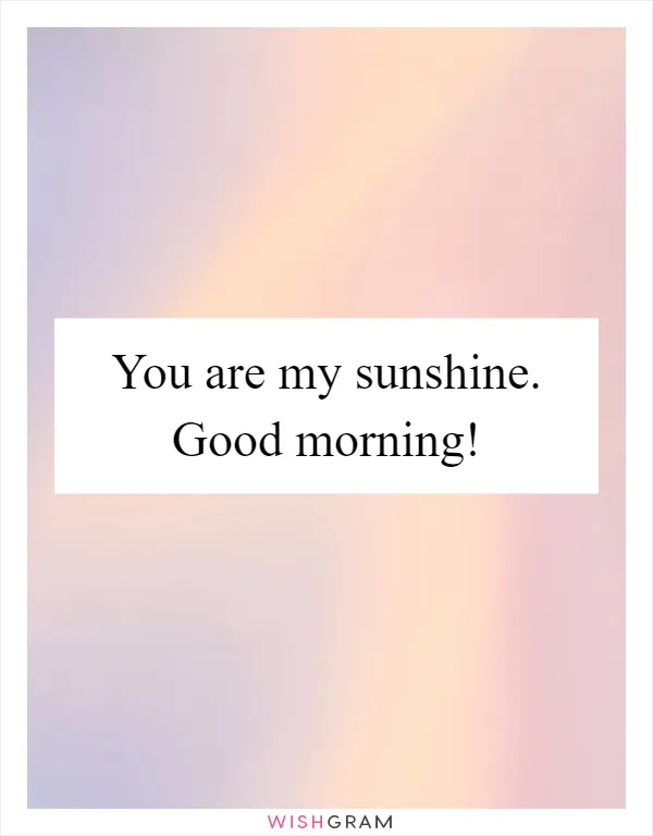 You are my sunshine. Good morning!