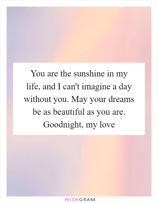 You are the sunshine in my life, and I can't imagine a day without you. May your dreams be as beautiful as you are. Goodnight, my love