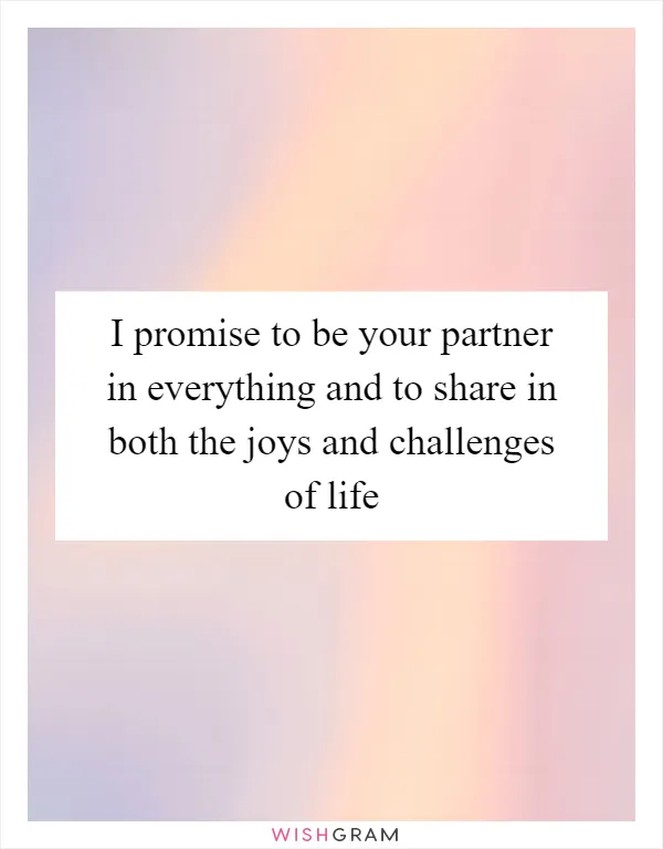 I promise to be your partner in everything and to share in both the joys and challenges of life