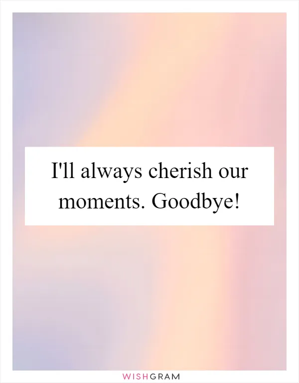 I'll always cherish our moments. Goodbye!