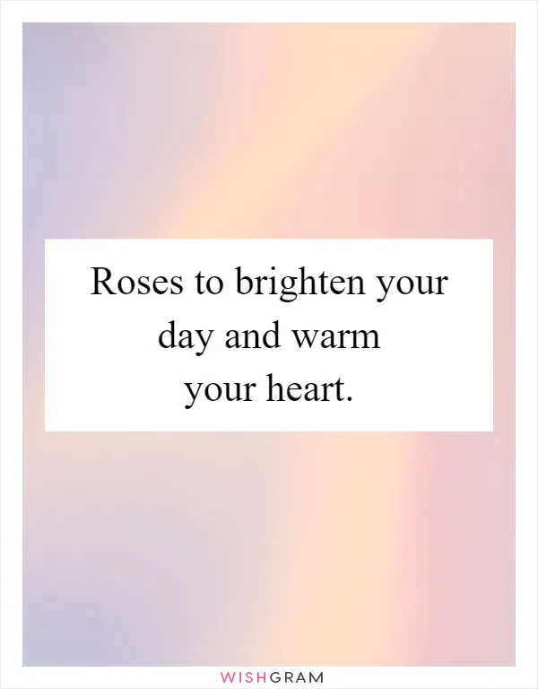 Roses to brighten your day and warm your heart