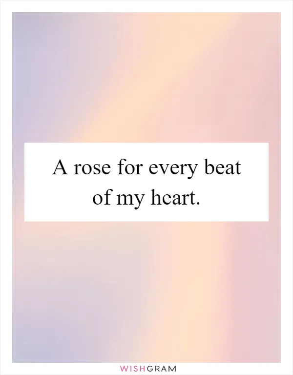 A rose for every beat of my heart
