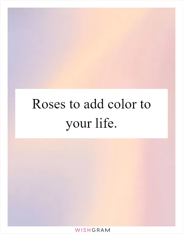 Roses to add color to your life