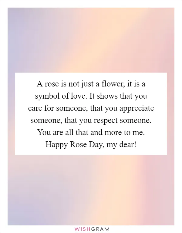 A rose is not just a flower, it is a symbol of love. It shows that you care for someone, that you appreciate someone, that you respect someone. You are all that and more to me. Happy Rose Day, my dear!