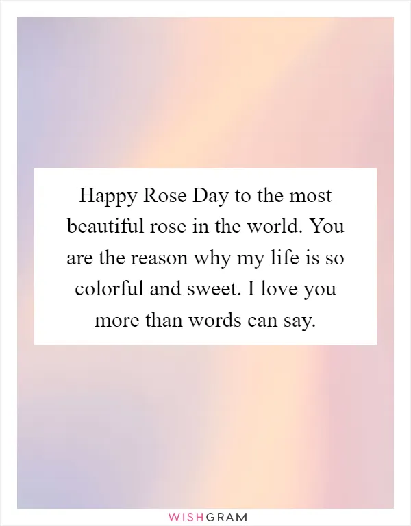 Happy Rose Day to the most beautiful rose in the world. You are the reason why my life is so colorful and sweet. I love you more than words can say