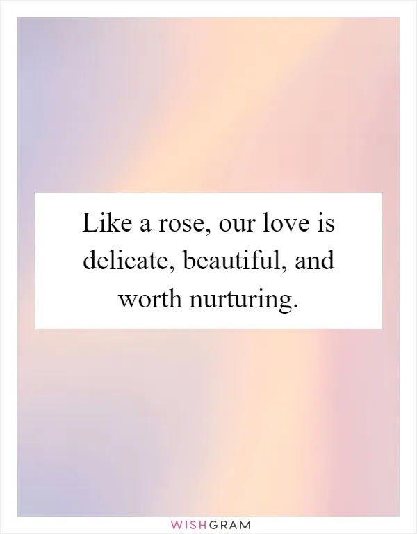 Like a rose, our love is delicate, beautiful, and worth nurturing
