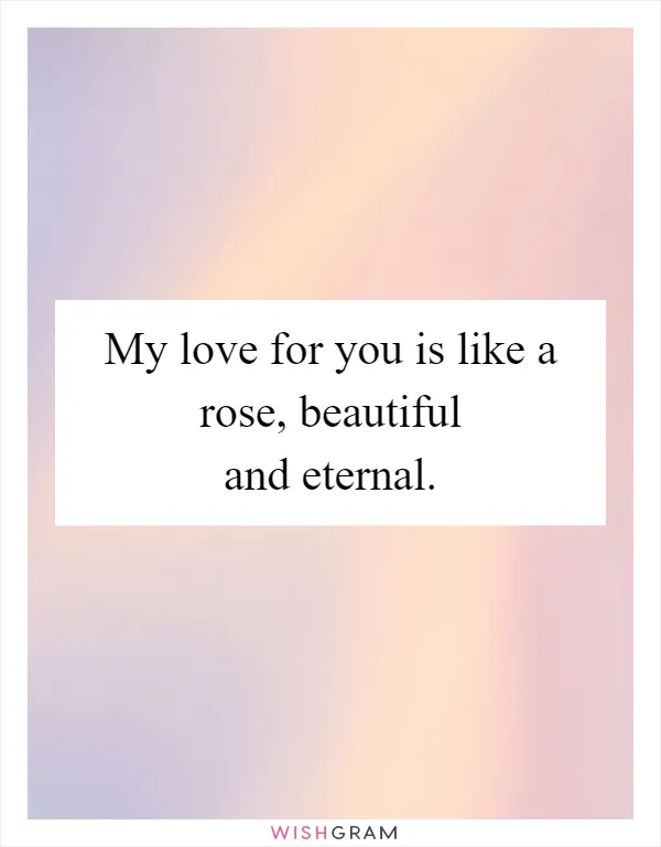 My love for you is like a rose, beautiful and eternal