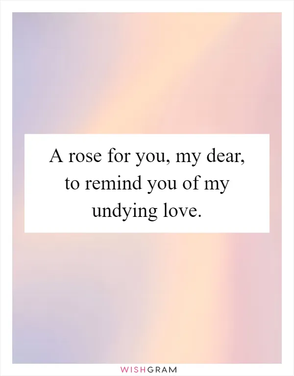 A rose for you, my dear, to remind you of my undying love