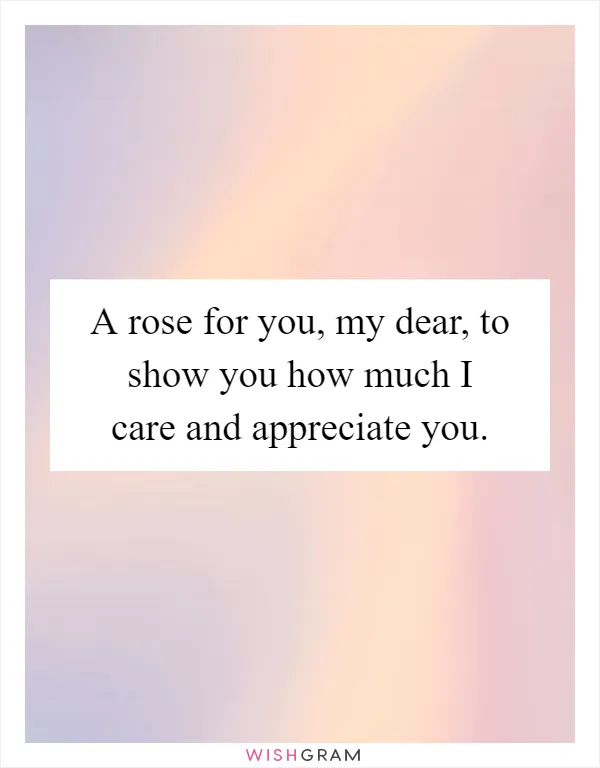 A rose for you, my dear, to show you how much I care and appreciate you