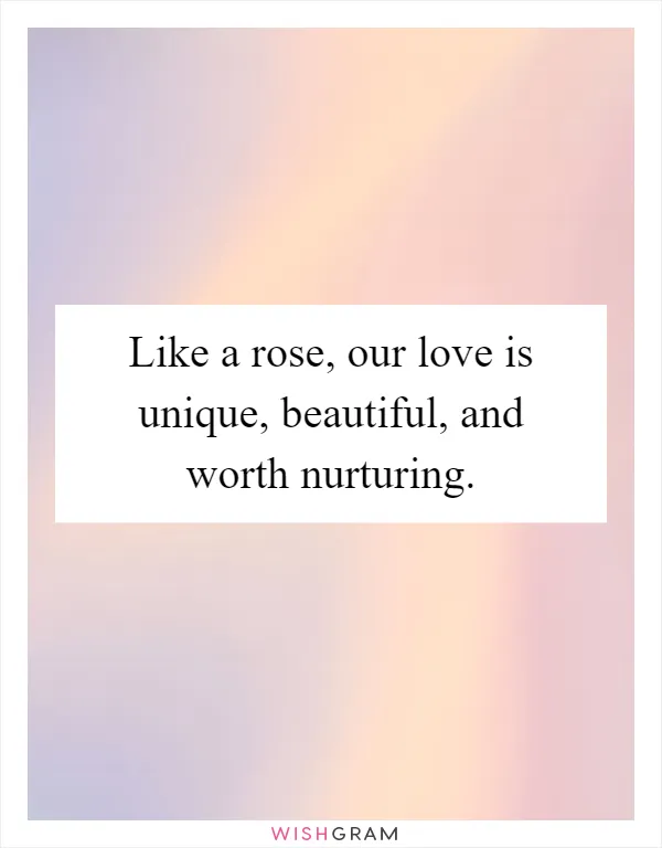 Like a rose, our love is unique, beautiful, and worth nurturing