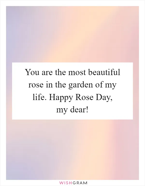 You are the most beautiful rose in the garden of my life. Happy Rose Day, my dear!