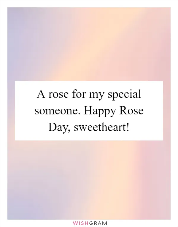 A rose for my special someone. Happy Rose Day, sweetheart!