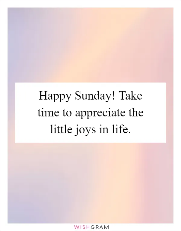 Happy Sunday! Take time to appreciate the little joys in life