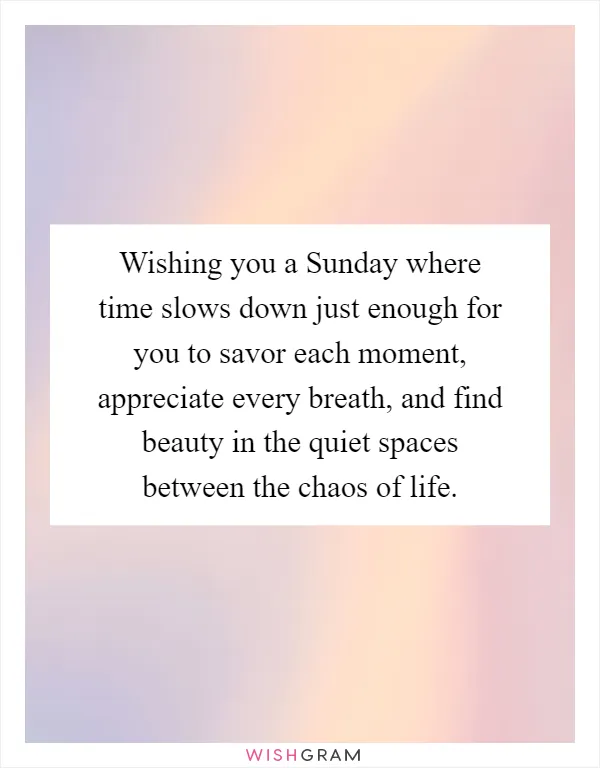 Wishing you a Sunday where time slows down just enough for you to savor each moment, appreciate every breath, and find beauty in the quiet spaces between the chaos of life