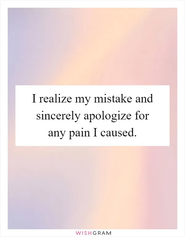 I realize my mistake and sincerely apologize for any pain I caused