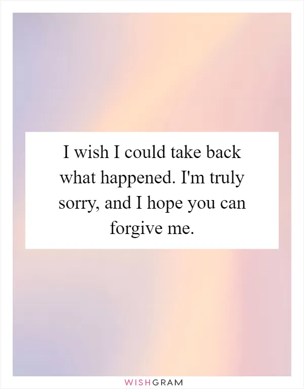 I wish I could take back what happened. I'm truly sorry, and I hope you can forgive me