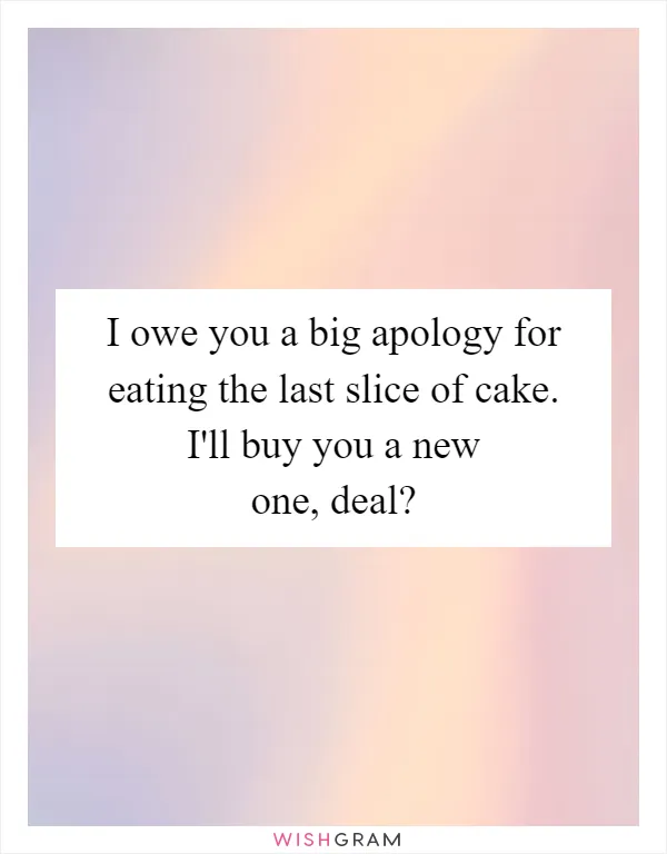 I owe you a big apology for eating the last slice of cake. I'll buy you a new one, deal?