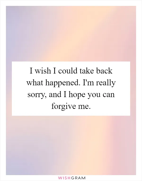 I wish I could take back what happened. I'm really sorry, and I hope you can forgive me