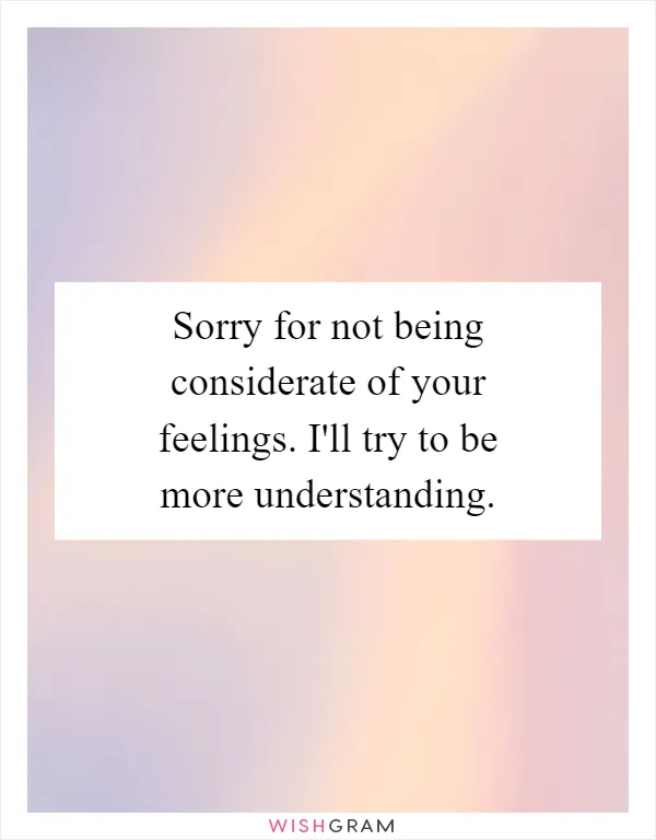 Sorry for not being considerate of your feelings. I'll try to be more understanding