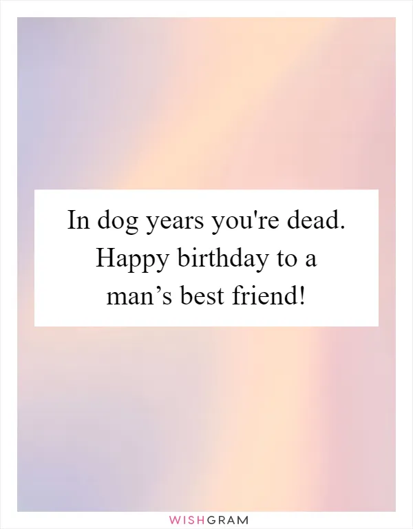 In dog years you're dead. Happy birthday to a man’s best friend!
