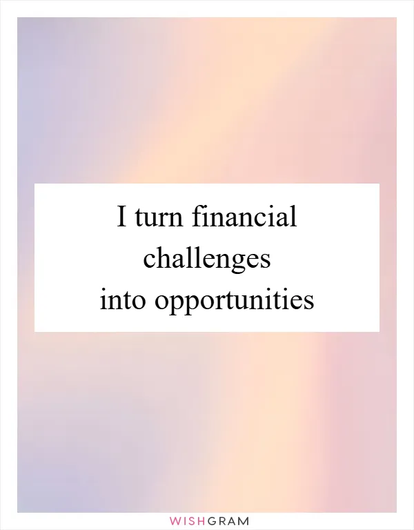 I turn financial challenges into opportunities